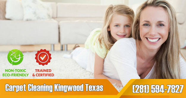 carpet cleaning kingwood texas Banner